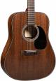 Martin D-19 190th Anniversary Acoustic Guitar image 