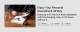 Oppo Enco W31 tws In-ear Earphone With Dual-mic image 
