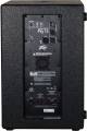 Peavey PVs 12 1,000W 12-inch Powered Subwoofer image 