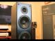 Polk Audio t50 Old Floor Standing tower Speaker image 