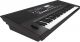 Roland E-X50 61-Keys Arranger Keyboard image 