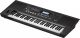 Roland E-X50 61-Keys Arranger Keyboard image 