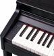 Roland Rp-701 Digital Electronic Piano 88-key image 