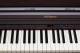 Roland Rp501r 88-key Supernatural Digital Piano image 