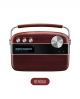 Saregama Carvaan Bengali Sc03 Portable Digital Music Player image 