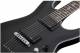 Schecter Damien Platinum 6 String Electric Guitar image 