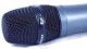 Sennheiser E 865 Pre-polarised Condenser Handheld Vocal Microphone image 