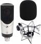 Sennheiser Mk 4 Large Diaphragm Condenser Microphone Bundle image 