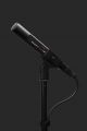 Sennheiser Mkh 20-p48 Omni-directional Condenser Microphone image 