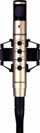 Sennheiser Mkh 800 P48 Studio Condenser Microphone image 