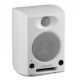 Sonodyne Srp 202 Active Bookshelf Speakers (pair) image 