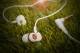 Soundmagic Pl30+ C In-ear Earphones image 