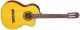 Takamine GC3CE-NAT Semi Classical Guitar image 