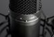 Tascam tm-280 Studio Condenser Microphone image 