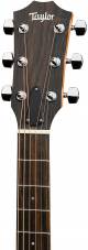 Taylor 210ce Layered Rosewood Electro-Acoustic Guitar image 