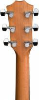 Taylor 210ce Layered Rosewood Electro-Acoustic Guitar image 