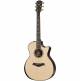 Taylor 914ce Indian Rosewood Grand Auditorium Electro-Acoustic Guitar  image 