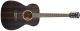 Washburn DFEFE-A-U Deep Forest Ebony FE Electro-Acoustic Guitar image 