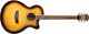 Washburn EA15ATB-A-U Cutaway Electro-Acoustic Guitar image 