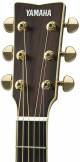 Yamaha LS6 Acoustic Guitar image 