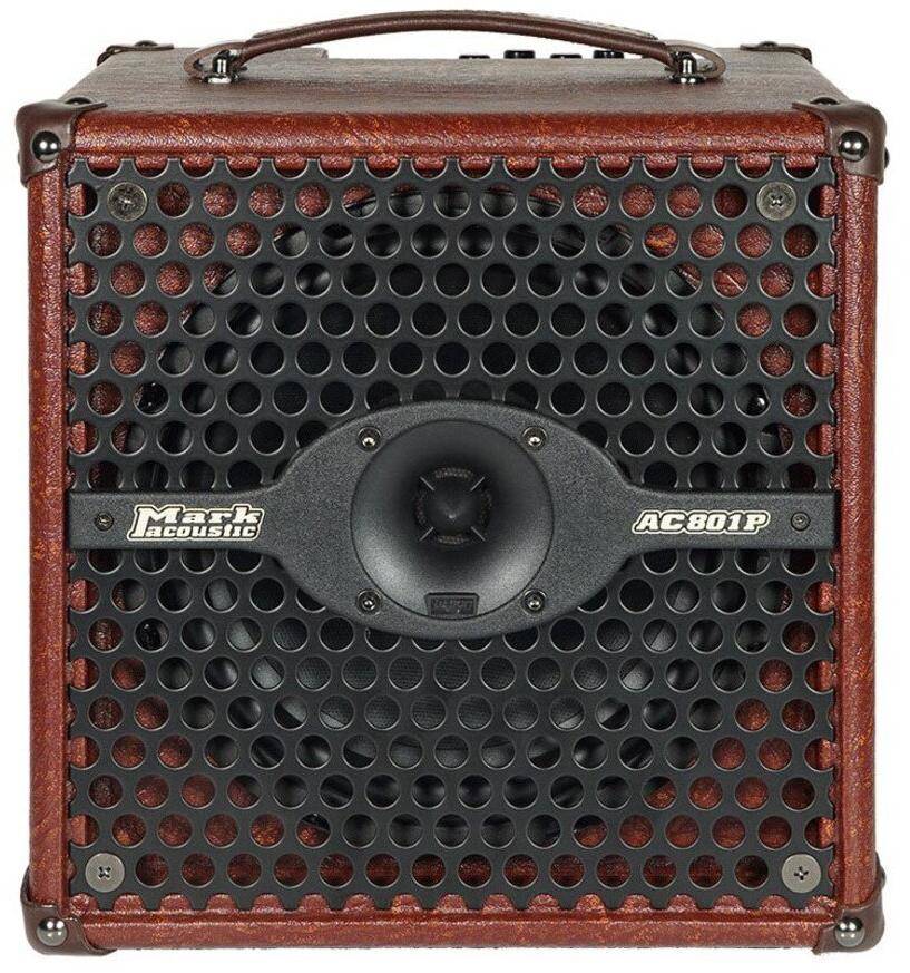 DV Mark 801P Acoustic Guitar Amplifier zoom image