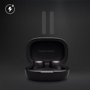 Buy Harman Kardon Fly Tws Earbuds Online In India At Lowest Price