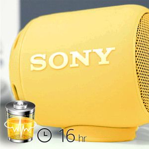 Buy Sony Srs Xb10 Extra Bass Splashproof Bluetooth Speaker With