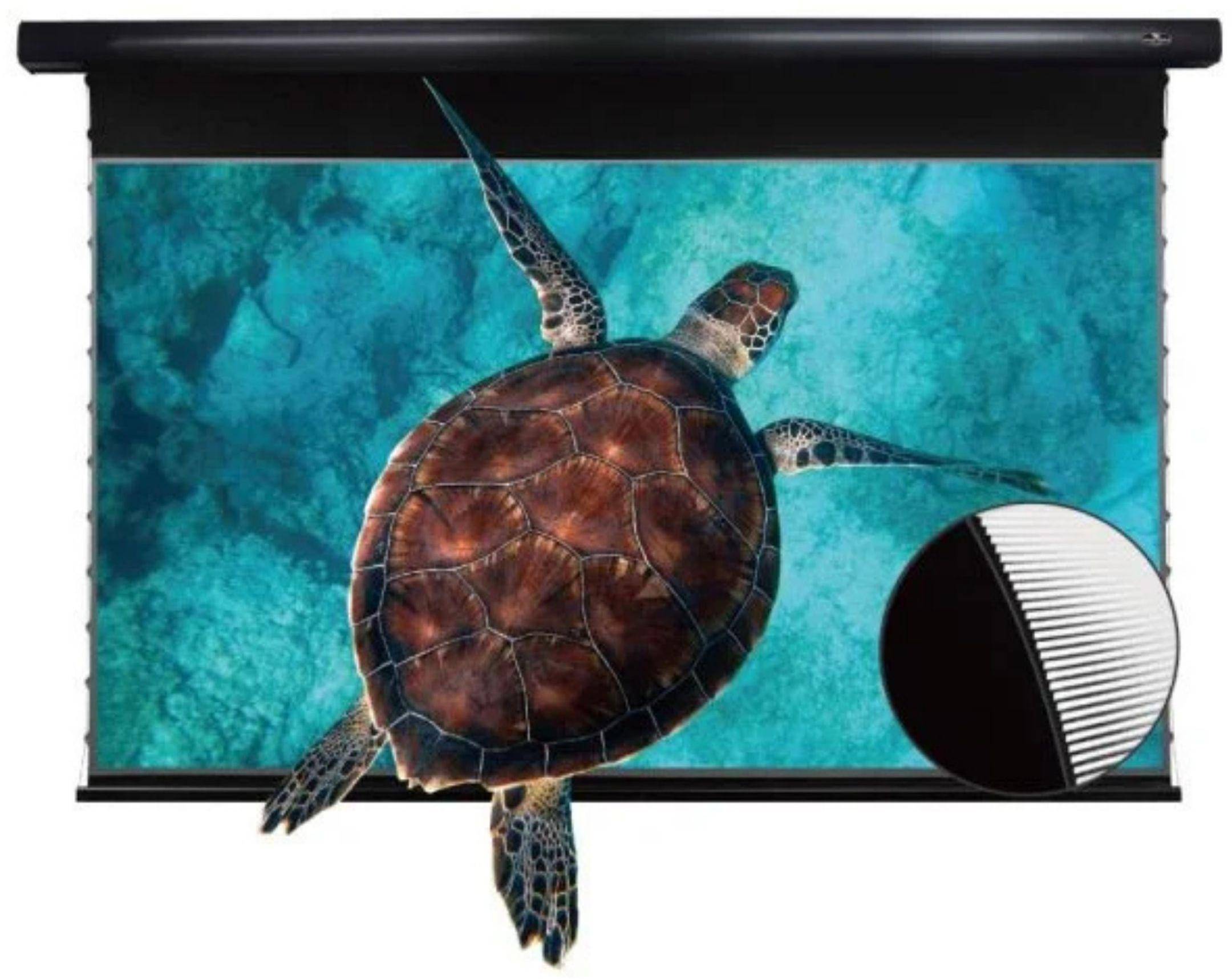 Vividstorm PRO Slimline Tab Tension Ultra short Throw Ambient Light Rejecting Drop Down Motorised Projection Screen 120 Inches zoom image