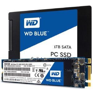 Buy Wd Blue 500gb Internal Solid State Drive (wds500g2b0a) Online
