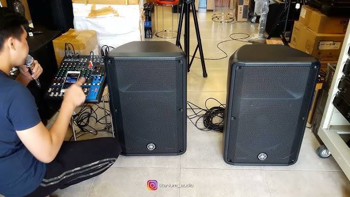 Buy Yamaha DBR12 floorstanding speakers Online in India at Lowest